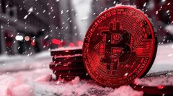 How New Fed Chair Nominee Upended Gold and Crypto Markets