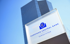 The European Central Bank (ECB)