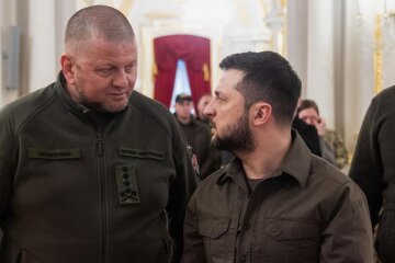 Valeriy Zaluzhnyi, Volodymyr Zelensky